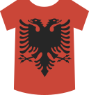 Shirt icon