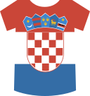 Shirt icon