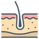 Hair icon