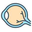 ojo icon