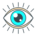 ojo icon