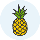 fruta icon