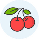 fruta icon