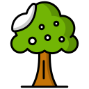 naturaleza icon