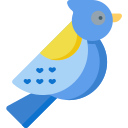 pájaro icon