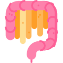 intestino icon