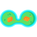 ameba icon