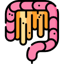 intestino icon