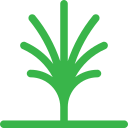 naturaleza icon