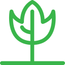 naturaleza icon