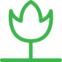 naturaleza icon