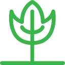 naturaleza icon