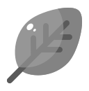 naturaleza icon