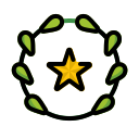 estrella icon