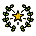 estrella icon