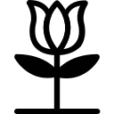 Вечеринка icon