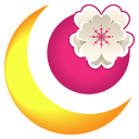 luna icon