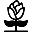 Вечеринка icon