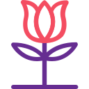faire la fête icon