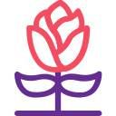 faire la fête icon