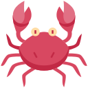strand icon
