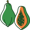 fruta icon