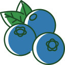 fruta icon