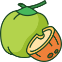 fruta icon