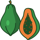 fruta icon