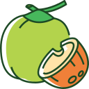 fruta icon