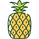 fruta icon