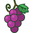 fruta icon