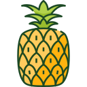 fruta icon