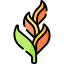 Геликония icon