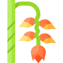 heliconia icon