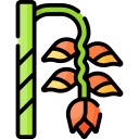 Геликония icon