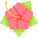 hibisco icon