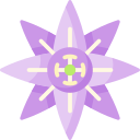 flor de la pasión icon