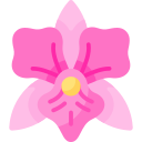 laelia icon