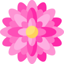 dalia icon