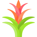 bromelia icon