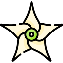Jaborosa integrifolia icon
