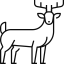 animal icon