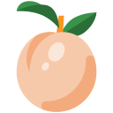 fruta icon