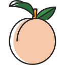 fruta icon