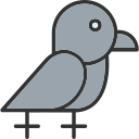 animal icon