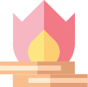 fuego icon