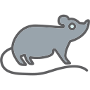 ratón 