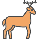 animal icon