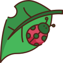 naturaleza icon